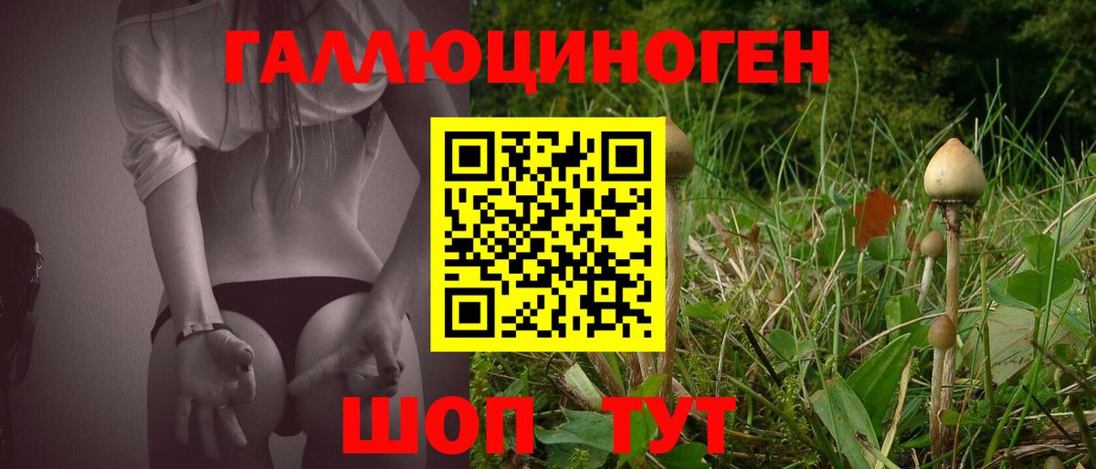 Псилоцибиновые грибы ЛСД Шебекино